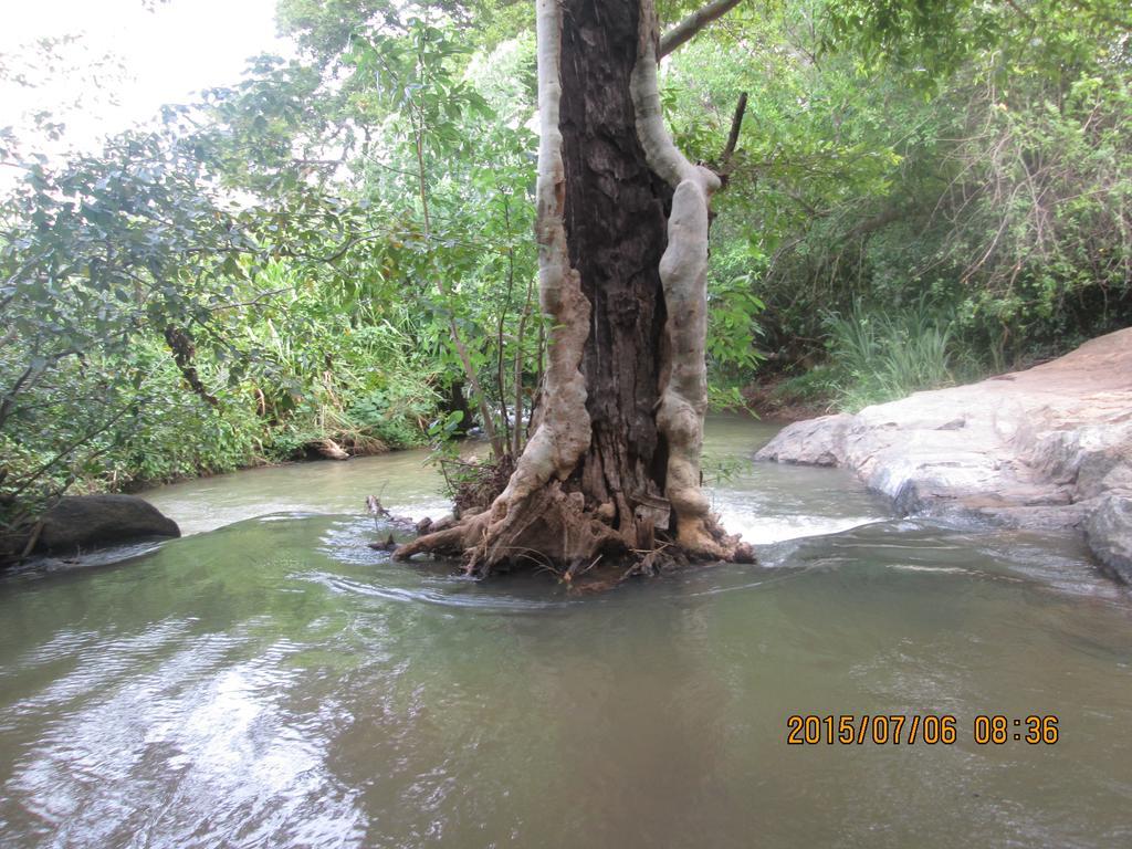 Riverside Lal Homestay Sigiriya Eksteriør billede