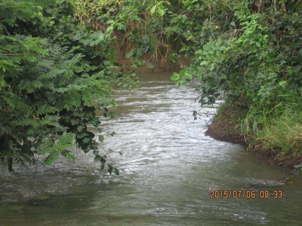 Riverside Lal Homestay Sigiriya Eksteriør billede