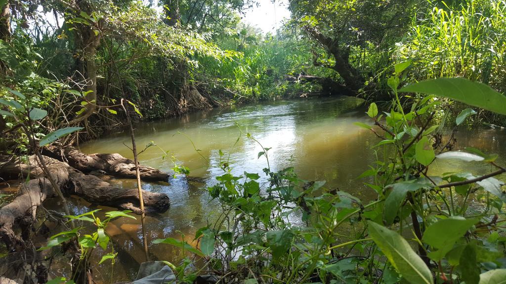 Riverside Lal Homestay Sigiriya Eksteriør billede